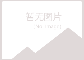 五营区夏岚美容有限公司